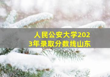 人民公安大学2023年录取分数线山东