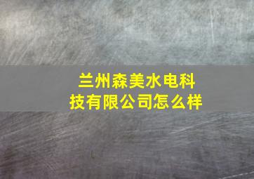 兰州森美水电科技有限公司怎么样