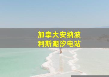 加拿大安纳波利斯潮汐电站