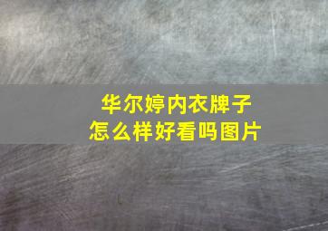 华尔婷内衣牌子怎么样好看吗图片