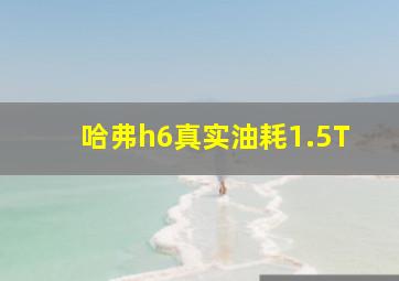 哈弗h6真实油耗1.5T