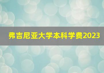 弗吉尼亚大学本科学费2023