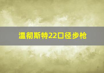 温彻斯特22口径步枪