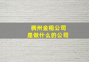 稠州金租公司是做什么的公司