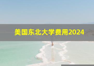 美国东北大学费用2024