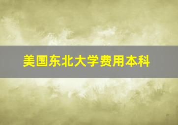 美国东北大学费用本科