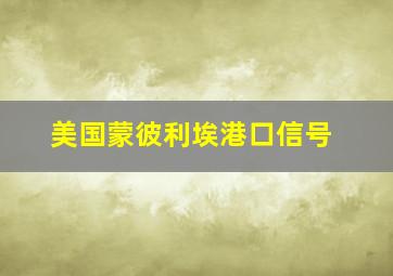 美国蒙彼利埃港口信号