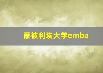 蒙彼利埃大学emba