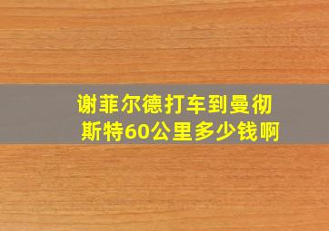 谢菲尔德打车到曼彻斯特60公里多少钱啊