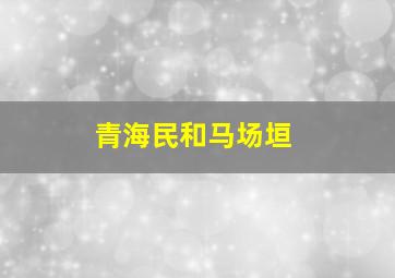 青海民和马场垣